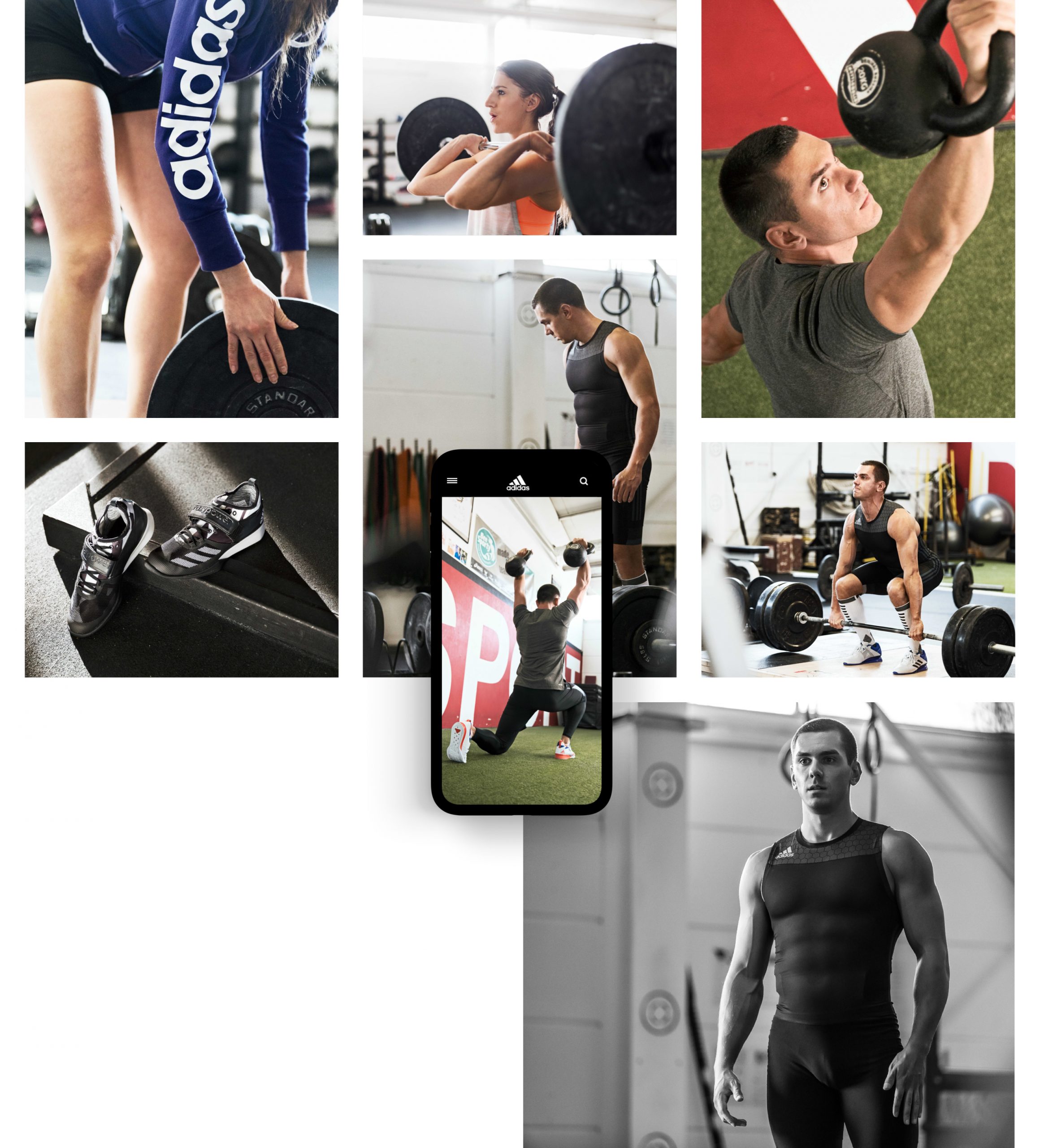 pascher-heinz-adidas-weightlifting-visual-03