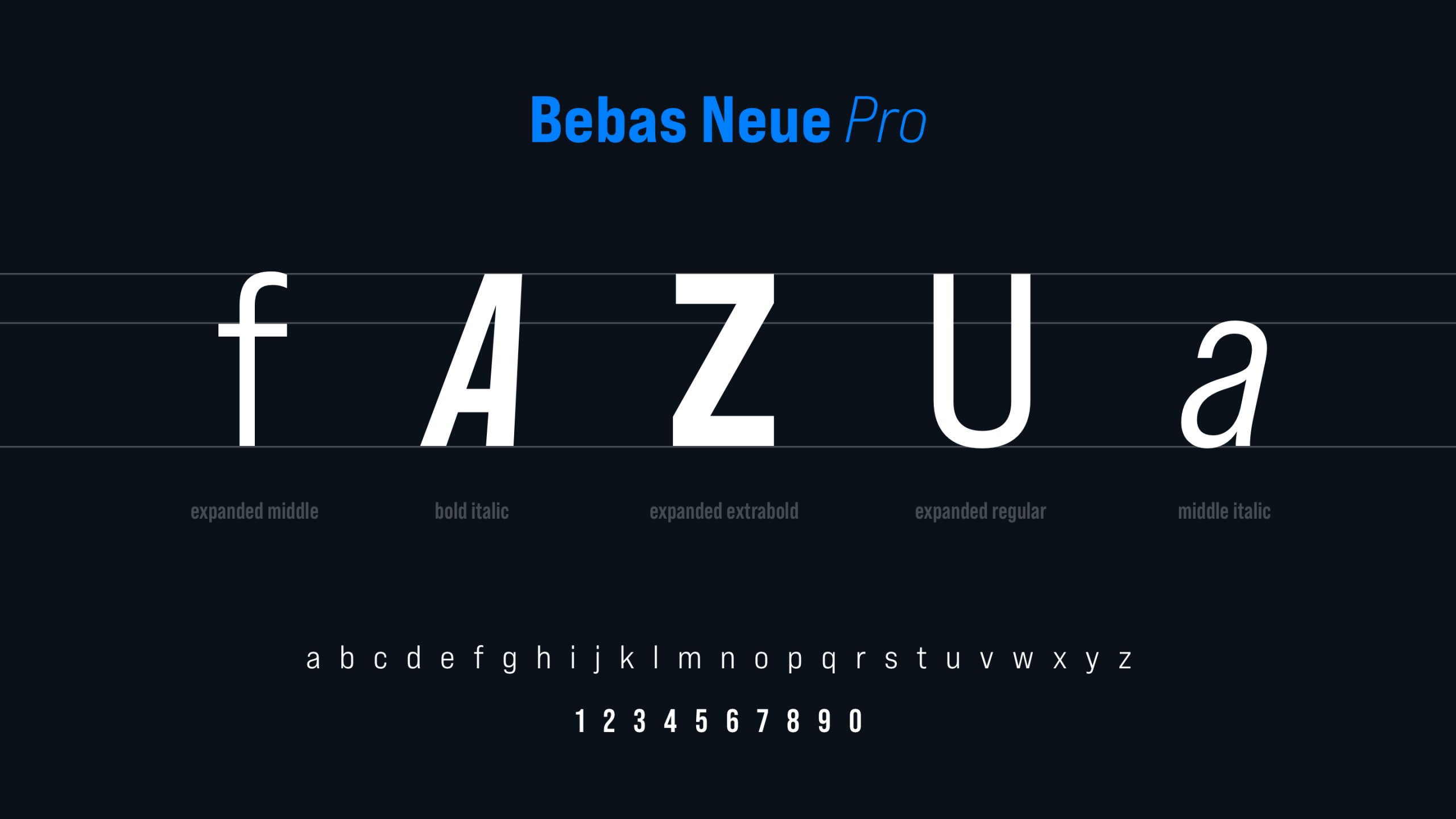 pascher-heinz-fazua-relaunch-typography