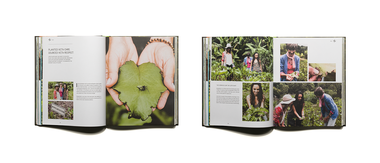 pascher-heinz-weleda-global-garden-book-content-02
