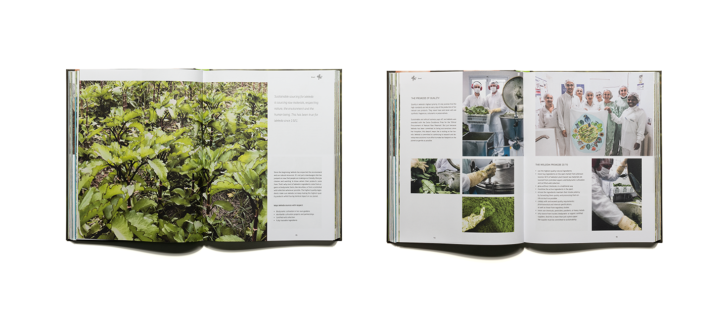 pascher-heinz-weleda-global-garden-book-content-04